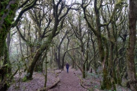 20250115-162926-DSC06282