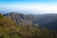 20250115-170359-DSC06303