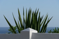 20250117-164433-DSC06318