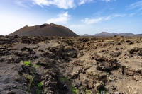 20201228-131518-DSC01483