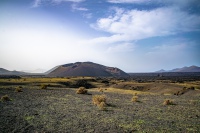 20201228-135655-DSC_0019