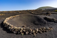 20201228-142838-DSC01518