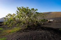 20201228-143726-DSC01535