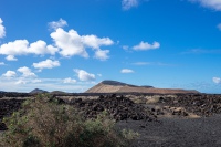 20201231-131345-DSC01688