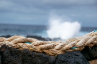 20201231-163236-DSC_0429