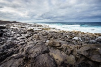 20201231-163913-DSC01746