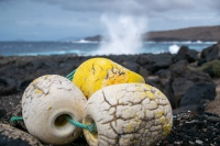 20201231-163937-DSC_0479