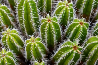 20210103-140218-DSC01885