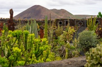 20210103-140956-DSC01890