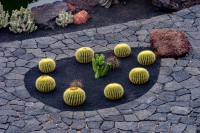 20210103-145009-DSC01900