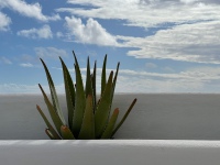 20210108-135017-IMG_0608