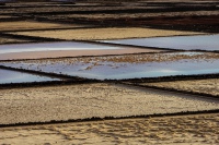 20210108-171444-DSC02030