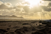 20210109-172648-DSC02046