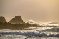 20210110-174442-DSC_0761