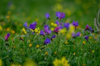 20210114-163940-DSC02120