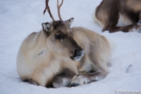 DSC08026