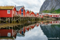 lofoten-14
