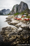 lofoten-20