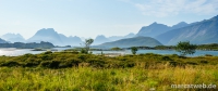 lofoten-24