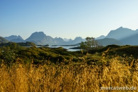 lofoten-33