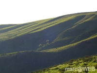 CIMG0707