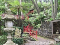 CIMG0753a