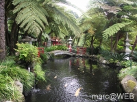 CIMG0764a
