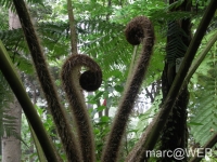 CIMG0767c