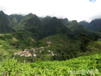 PICT0208