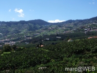 PICT0367