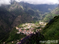 PICT0468a