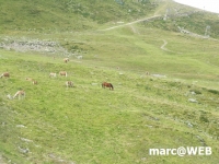 Madrisa (14).JPG