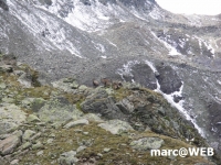 Madrisa (30).JPG