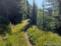 maisacher-turmsteig-13