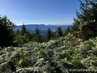 maisacher-turmsteig-21