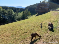 maisacher-turmsteig-22