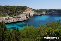 DSC05650
