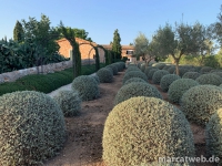 mallorca-02