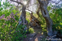 mallorca-21
