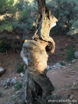 mallorca-25