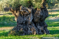 mallorca-29