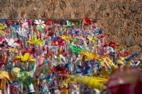 20241001-170427-DSC05788