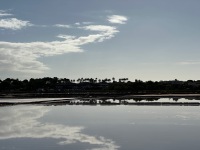 IMG_7630
