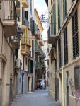 IMG_7658