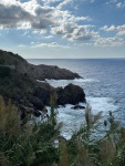 IMG_7800