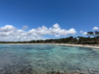 IMG_0160