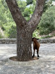 IMG_0408