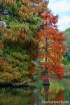 Mannheim-Luisenpark-03