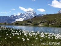 Matterhorn__13_