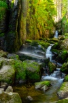 20200531-175457-DSC09758